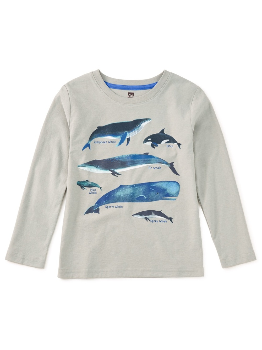 Tea Collection Whale Discovery Long Sleeve Cotton Graphic Tee Shirt. 10. NEW.